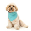 Fuzzyard Cooling Bandana - Two Cans - Woonona Petfoods