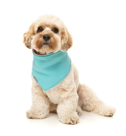 Fuzzyard Cooling Bandana - Two Cans - Woonona Petfoods