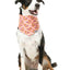 Fuzzyard Cooling Bandana - Two Cans - Woonona Petfoods