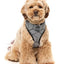 Fuzzyard Fitzroy Dog Harness - Woonona Petfoods