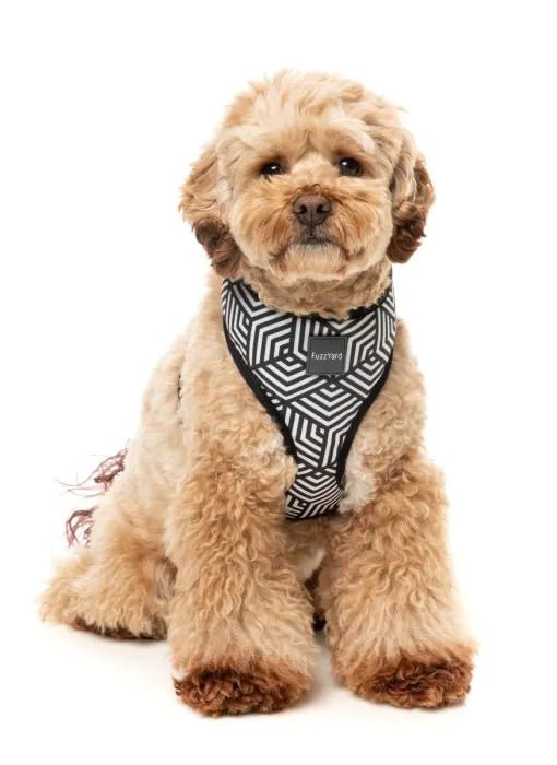 Fuzzyard Fitzroy Dog Harness - Woonona Petfoods