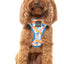 Fuzzyard Fresh Zest Dog Harness - Woonona Petfoods