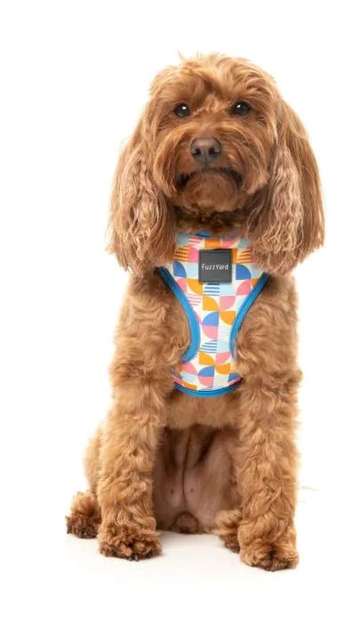Fuzzyard Fresh Zest Dog Harness - Woonona Petfoods