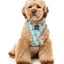 Fuzzyard Mint Fizz Dog Harness - Woonona Petfoods