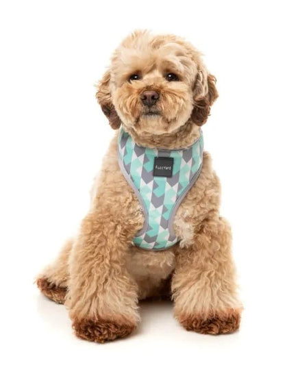Fuzzyard Mint Fizz Dog Harness - Woonona Petfoods