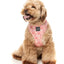 Fuzzyard Pink Lemonade Dog Harness - Woonona Petfoods