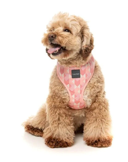 Fuzzyard Pink Lemonade Dog Harness - Woonona Petfoods