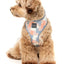 Fuzzyard Yazd Dog Harness - Woonona Petfoods
