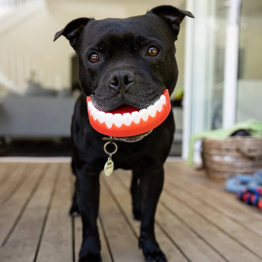 Happy Staffy Co. Chatter Chompers - Woonona Petfoods