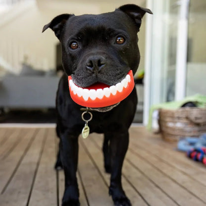 Happy Staffy Co. Chatter Chompers - Woonona Petfoods