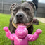 Happy Staffy Co. Chomp O Potamus - Woonona Petfoods