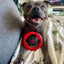 Happy Staffy Co. Power Chew Wheel - Woonona Petfoods