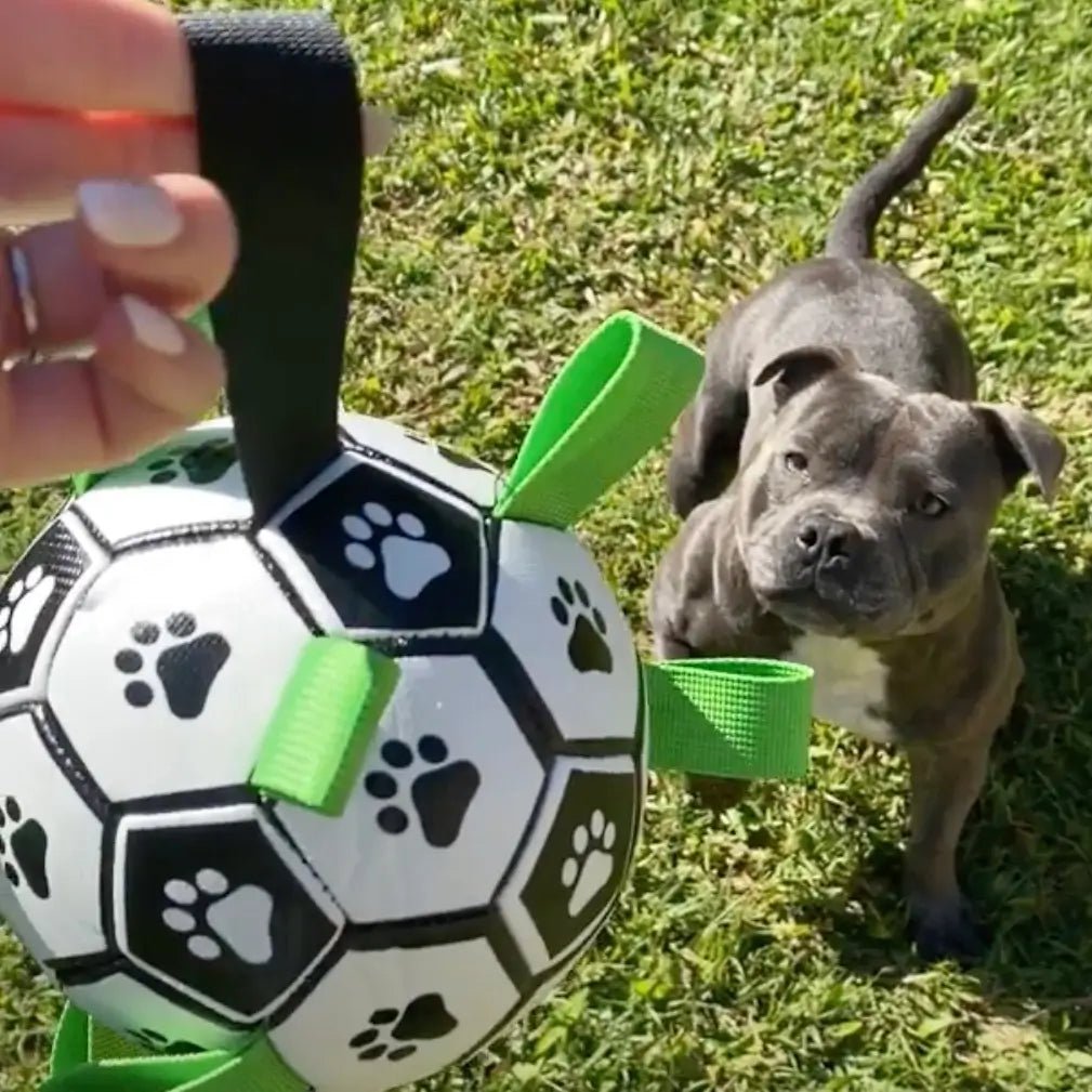 Happy Staffy Co. Ronaldog Soccer Ball - Woonona Petfoods