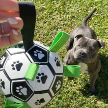 Happy Staffy Co. Ronaldog Soccer Ball - Woonona Petfoods