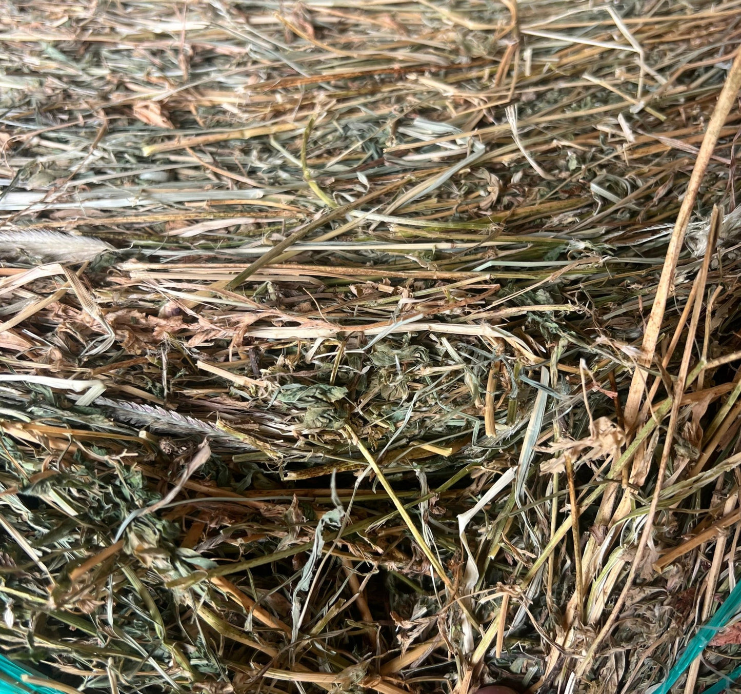 Hay Lucerne Grass Round 4 x 4 275kg approx - Woonona Petfoods