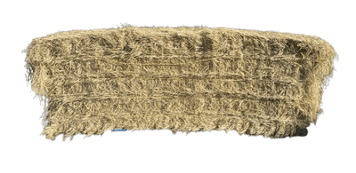 Hay Teff 8 x 3 x 3 450kg