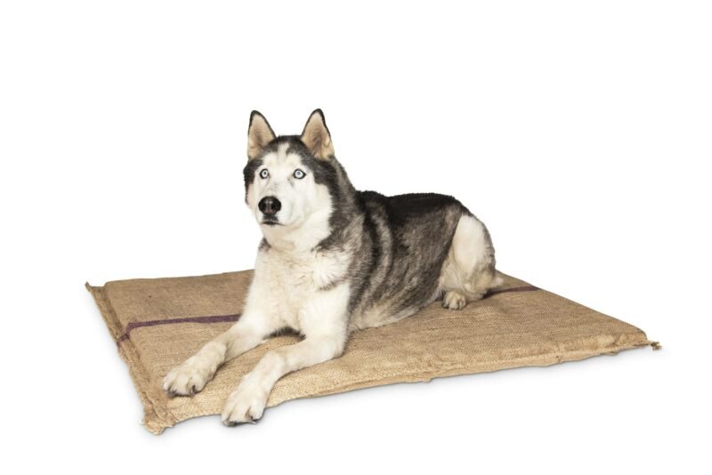 Hessian Foam Bed Superior - Woonona Petfood & Produce