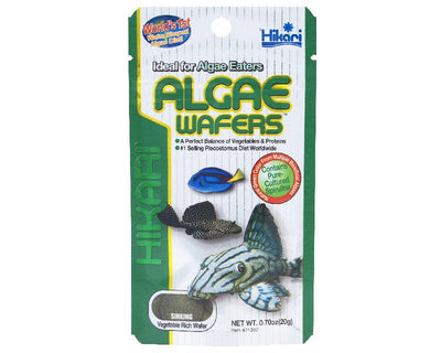Hikari Algae Wafers 40g - Woonona Petfood & Produce