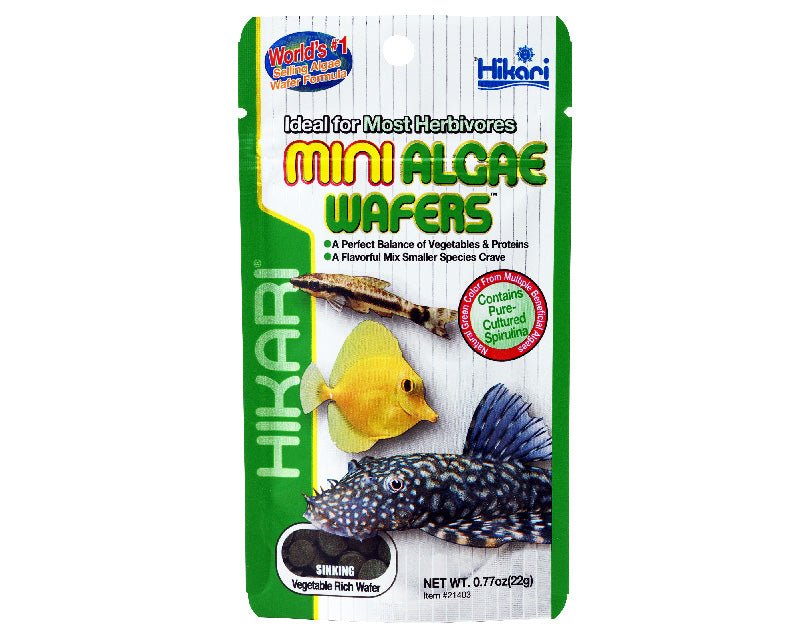 Hikari Mini Algae Wafers 22g - Woonona Petfood & Produce