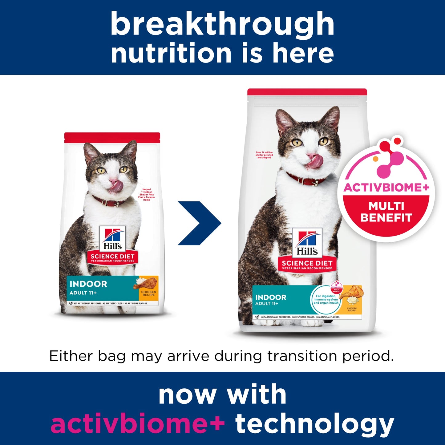 Hill's Science Diet Adult 11+ Indoor Dry Cat Food - Woonona Petfoods