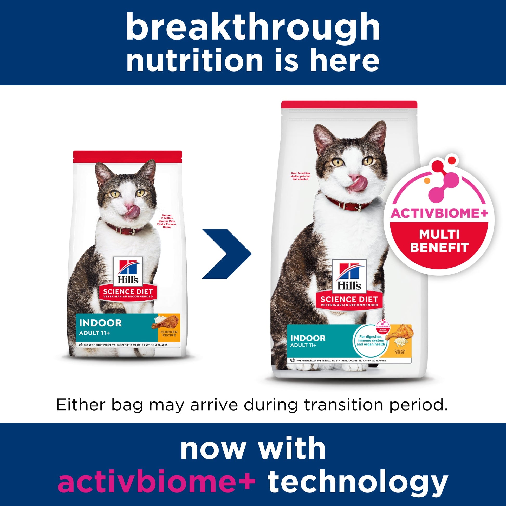 Hill's Science Diet Adult 11+ Indoor Dry Cat Food - Woonona Petfoods