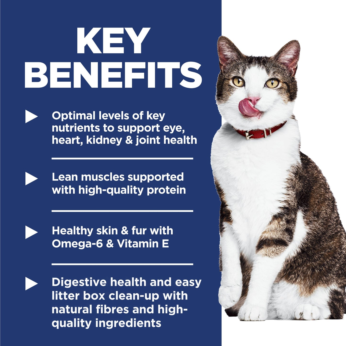 Hill's Science Diet Adult 11+ Indoor Dry Cat Food - Woonona Petfoods