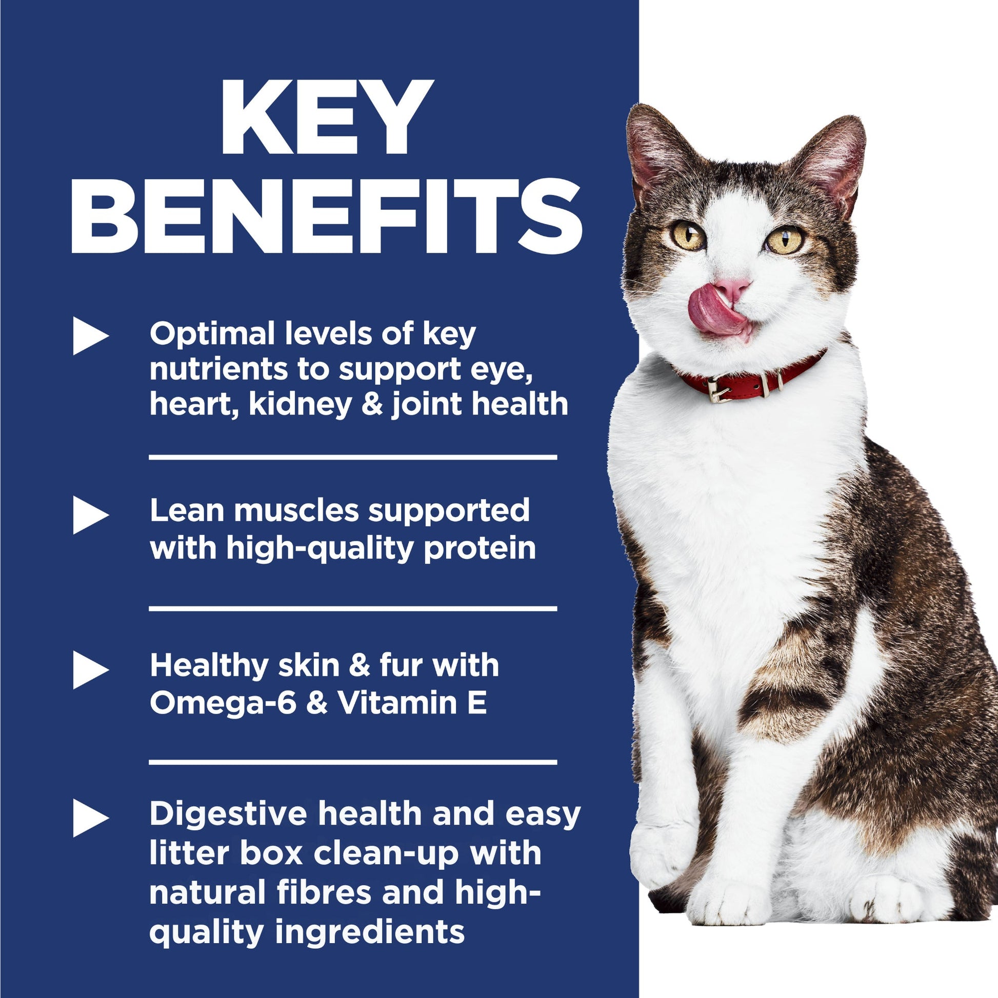 Hill's Science Diet Adult 11+ Indoor Dry Cat Food - Woonona Petfoods