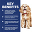 Hill's Science Diet Adult 11+ Small and Mini Senior Dry Dog Food 2.04kg - Woonona Petfoods