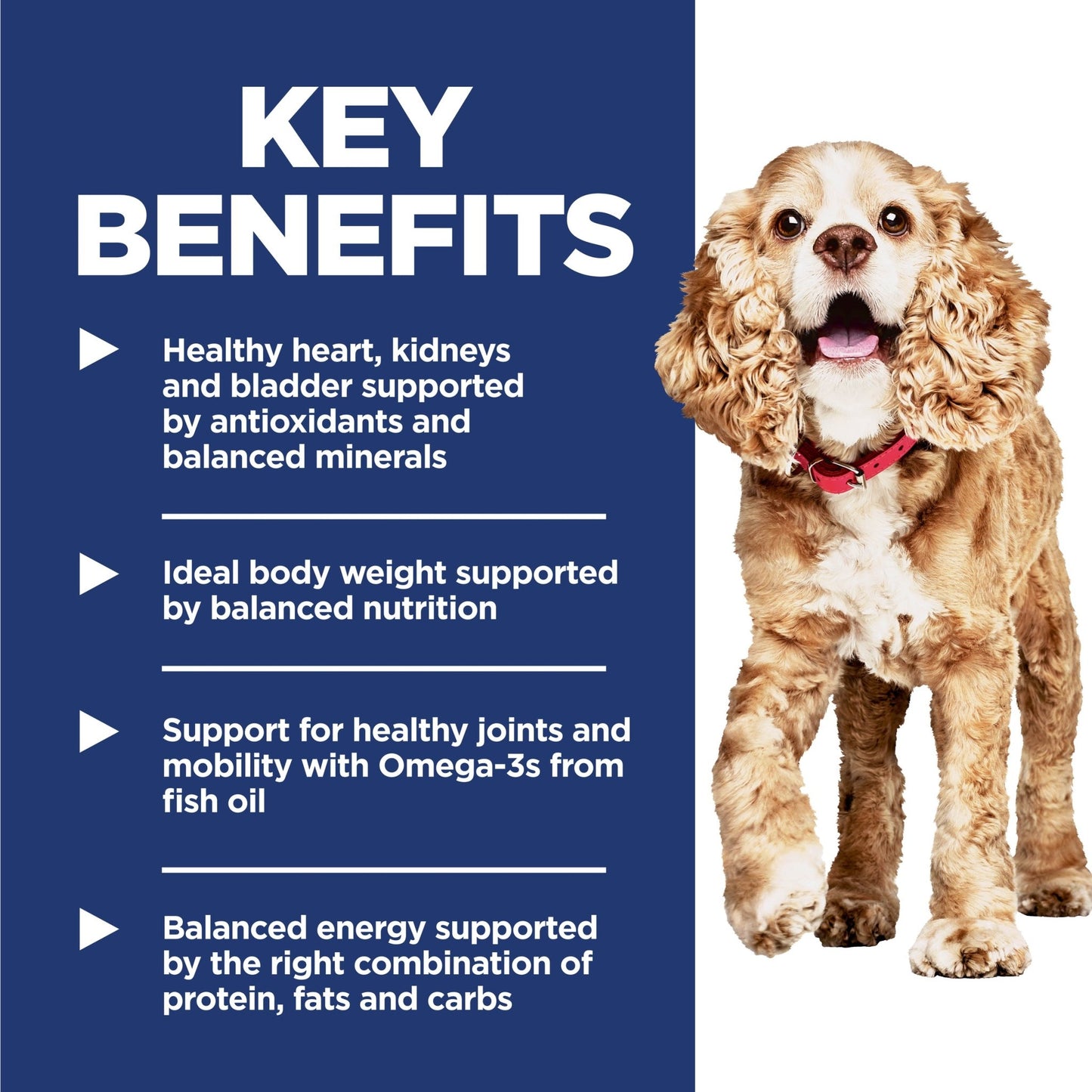 Hill's Science Diet Adult 11+ Small and Mini Senior Dry Dog Food 2.04kg - Woonona Petfoods