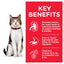 Hill's Science Diet Adult 7+ Active Longevity Chicken Cat Food pouches 85g - Woonona Petfoods