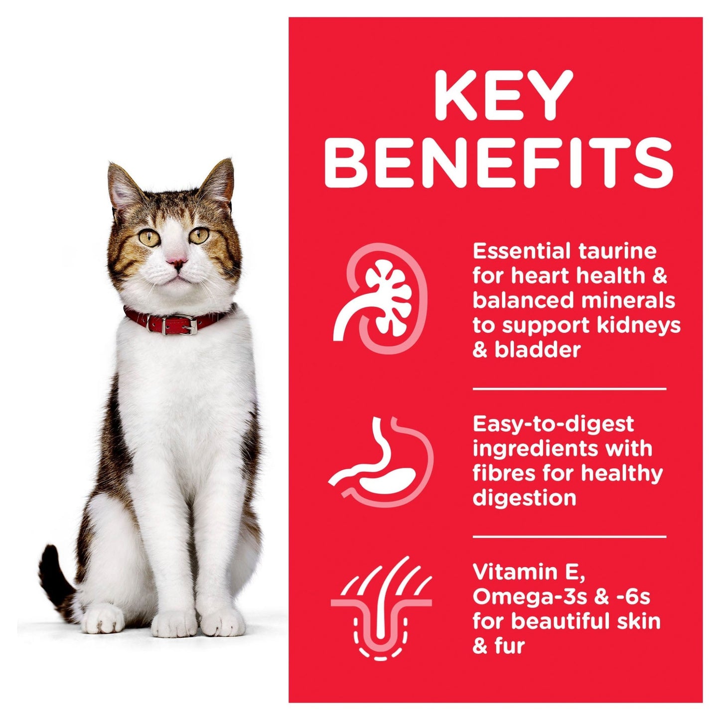 Hill's Science Diet Adult 7+ Active Longevity Chicken Cat Food pouches 85g - Woonona Petfoods