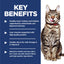 Hill's Science Diet Adult 7+ Indoor Dry Cat Food - Woonona Petfoods