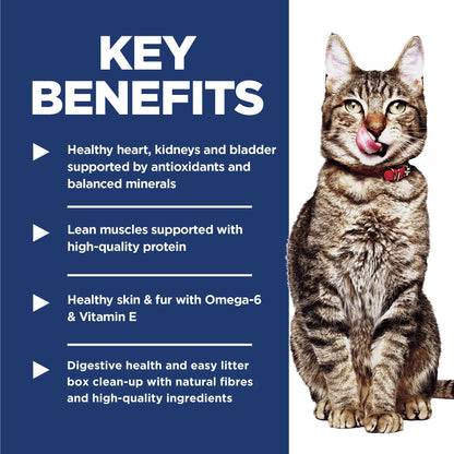 Hill's Science Diet Adult 7+ Indoor Dry Cat Food - Woonona Petfoods