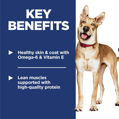 Hill's Science Diet Adult Dry Dog Food - Woonona Petfoods