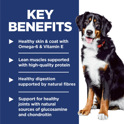 Hill's Science Diet Adult Large Breed Lamb & Brown Rice Dry Dog Food 14.97kg - Woonona Petfoods