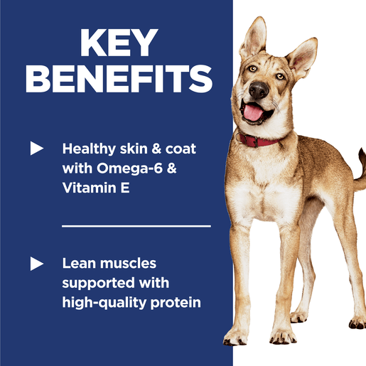 Hill's Science Diet Adult Sensitive Stomach and Skin Salmon & Brown Rice Dry Dog Food - Woonona Petfoods