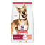 Hill's Science Diet Adult Sensitive Stomach and Skin Salmon & Brown Rice Dry Dog Food - Woonona Petfoods