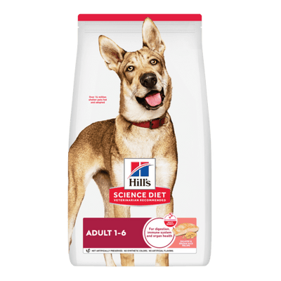 Hill's Science Diet Adult Sensitive Stomach and Skin Salmon & Brown Rice Dry Dog Food