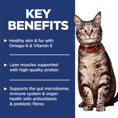 Hill's Science Diet Adult Sensitive Stomach and Skin Salmon Dry Cat Food 2.9kg - Woonona Petfoods