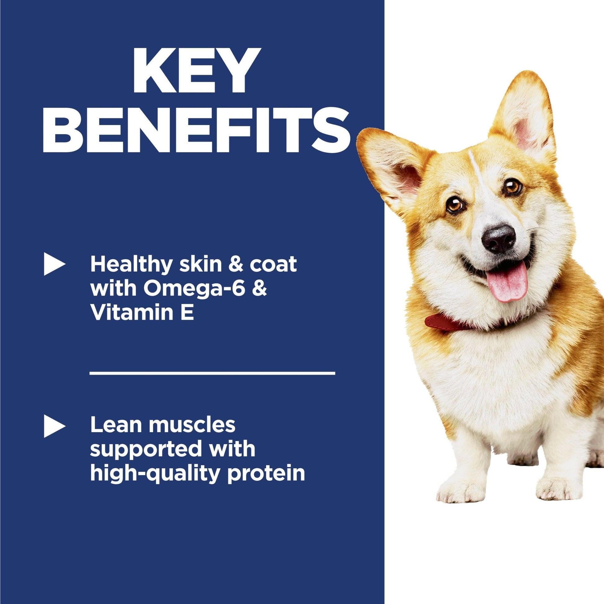 Hill's Science Diet Adult Small Bites Dry Dog Food - Woonona Petfoods