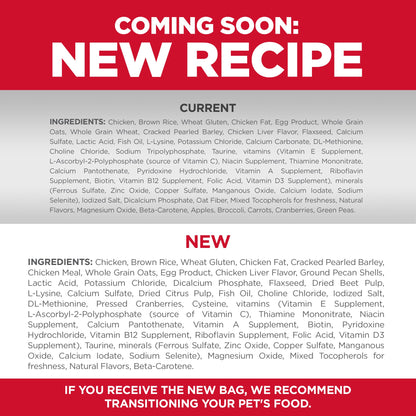 Hill's Science Diet Kitten Dry Cat Food - Woonona Petfoods