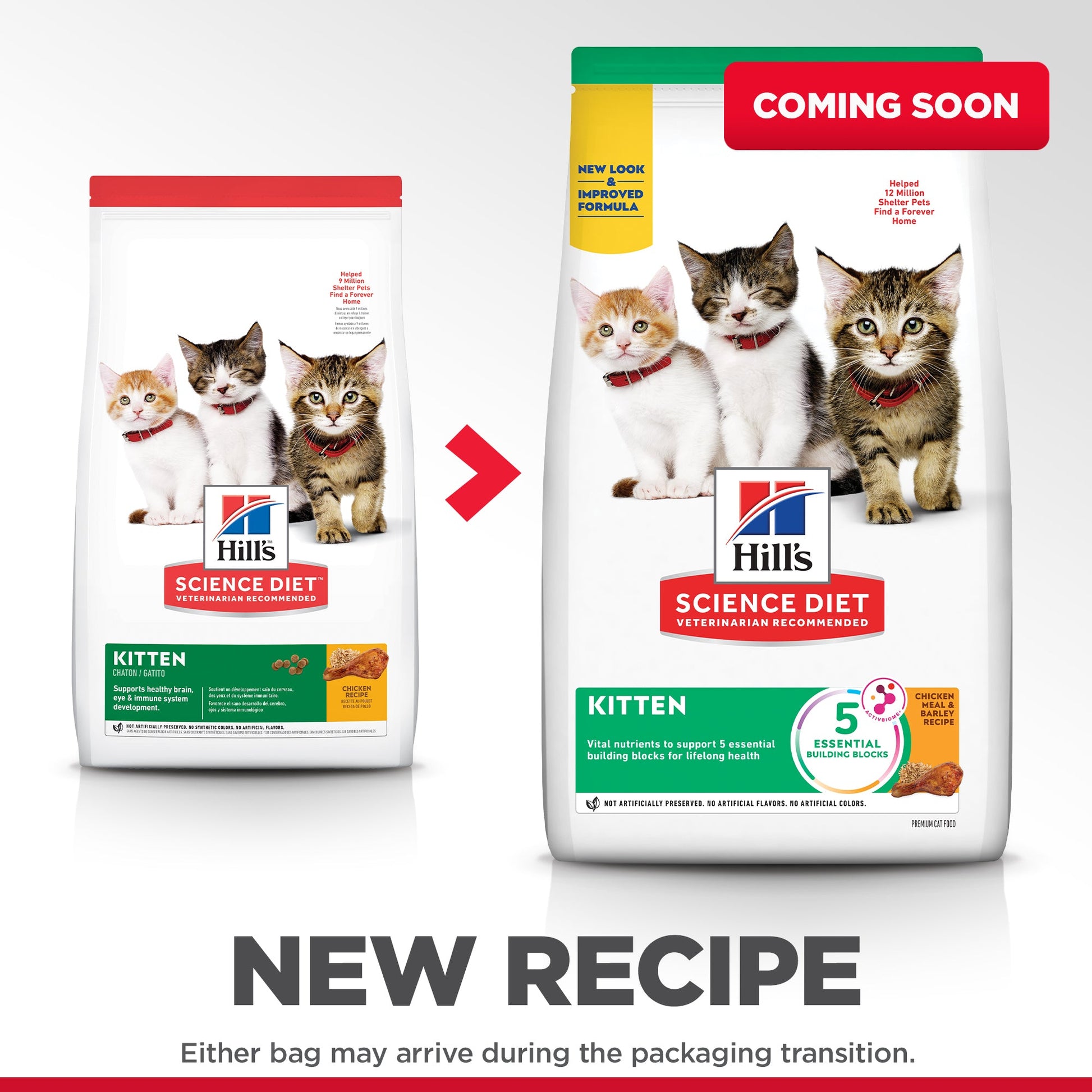 Hill's Science Diet Kitten Dry Cat Food - Woonona Petfoods