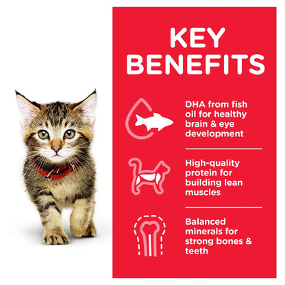 Hill's Science Diet Kitten Healthy Development Ocean Fish Cat Food pouches 85g - Woonona Petfoods