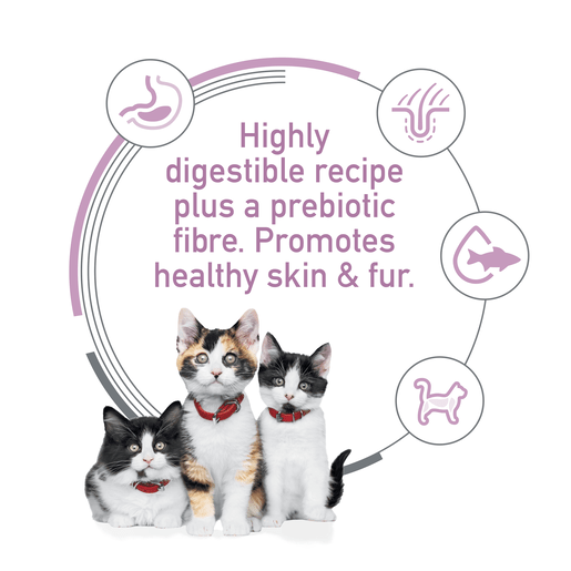 Hill's Science Diet Kitten Sensitive Stomach and Skin Salmon Dry Cat Food 1.58kg - Woonona Petfoods