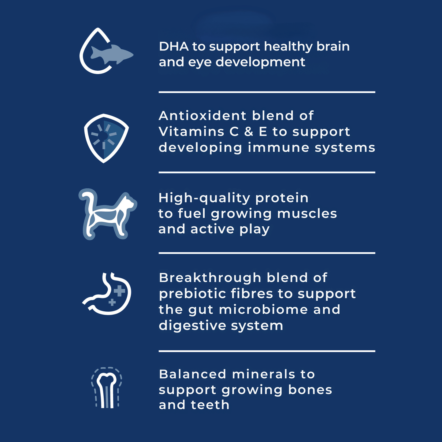 Hill's Science Diet Kitten Wet Food 24x82g - Woonona Petfoods