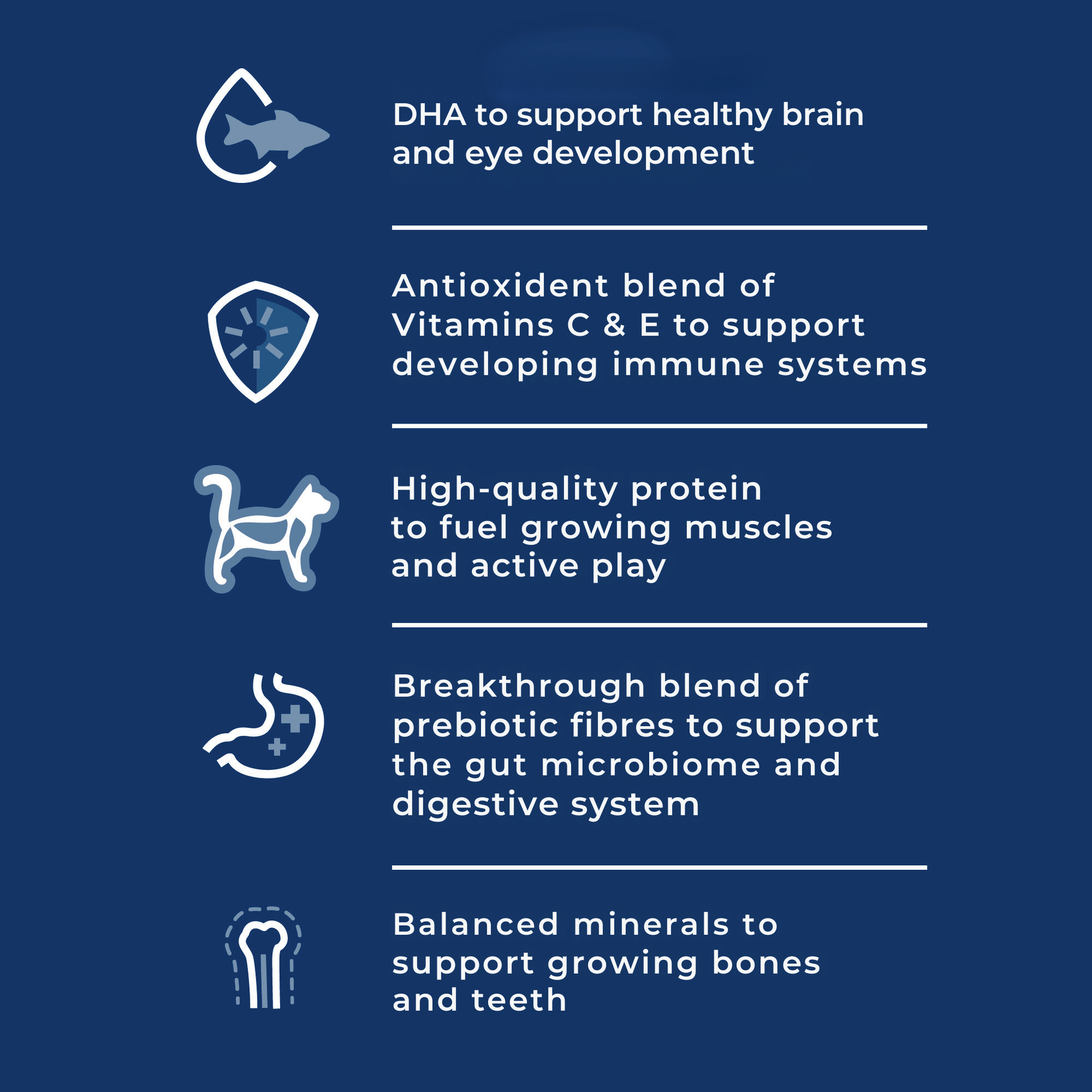 Hill's Science Diet Kitten Wet Food 24x82g - Woonona Petfoods