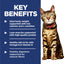 Hill's Science Diet Light Adult Dry Cat Food - Woonona Petfoods