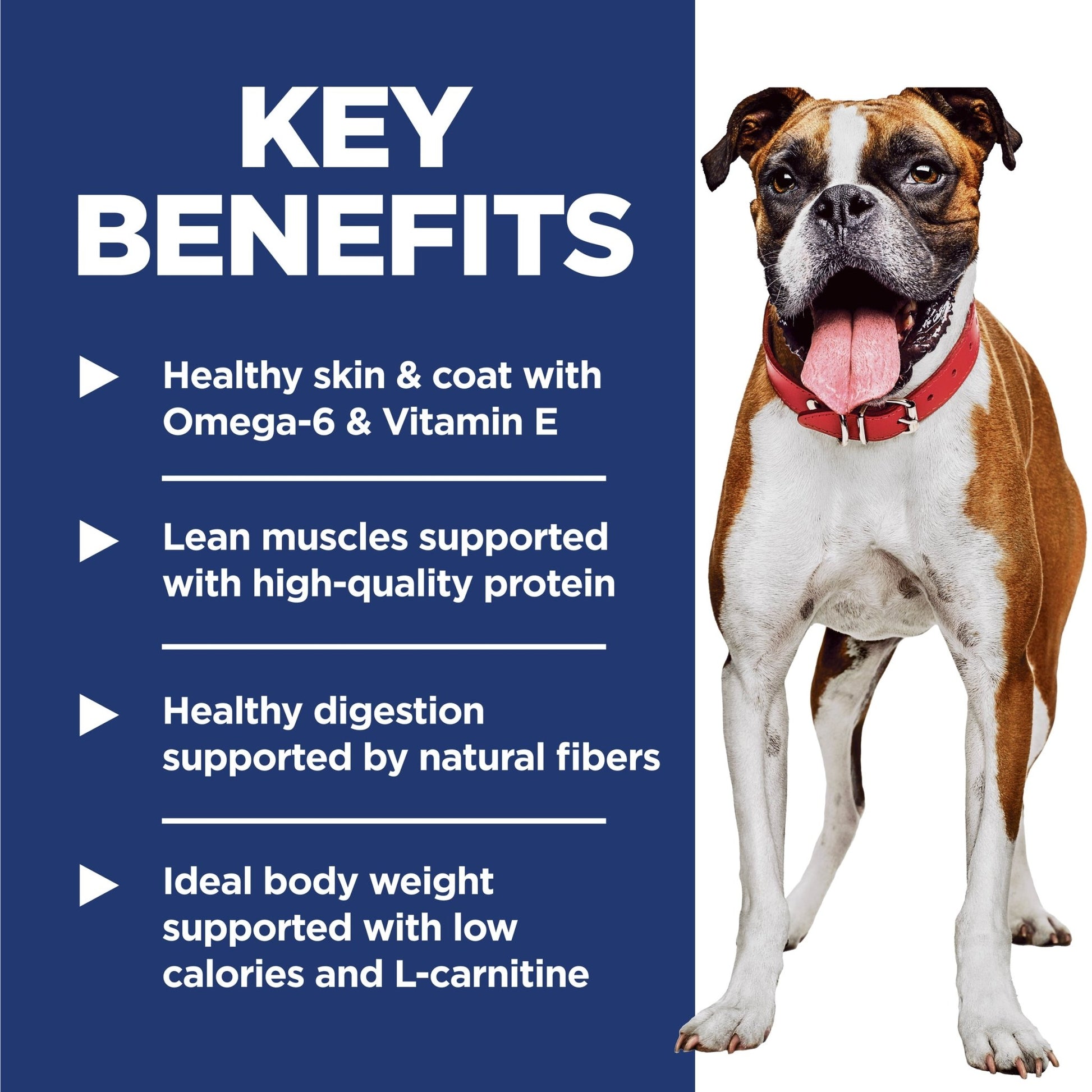Hill's Science Diet Light Adult Dry Dog Food 12kg - Woonona Petfoods