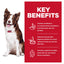Hill's Science Diet Perfect Digestion Adult Dry Dog Food - Woonona Petfoods