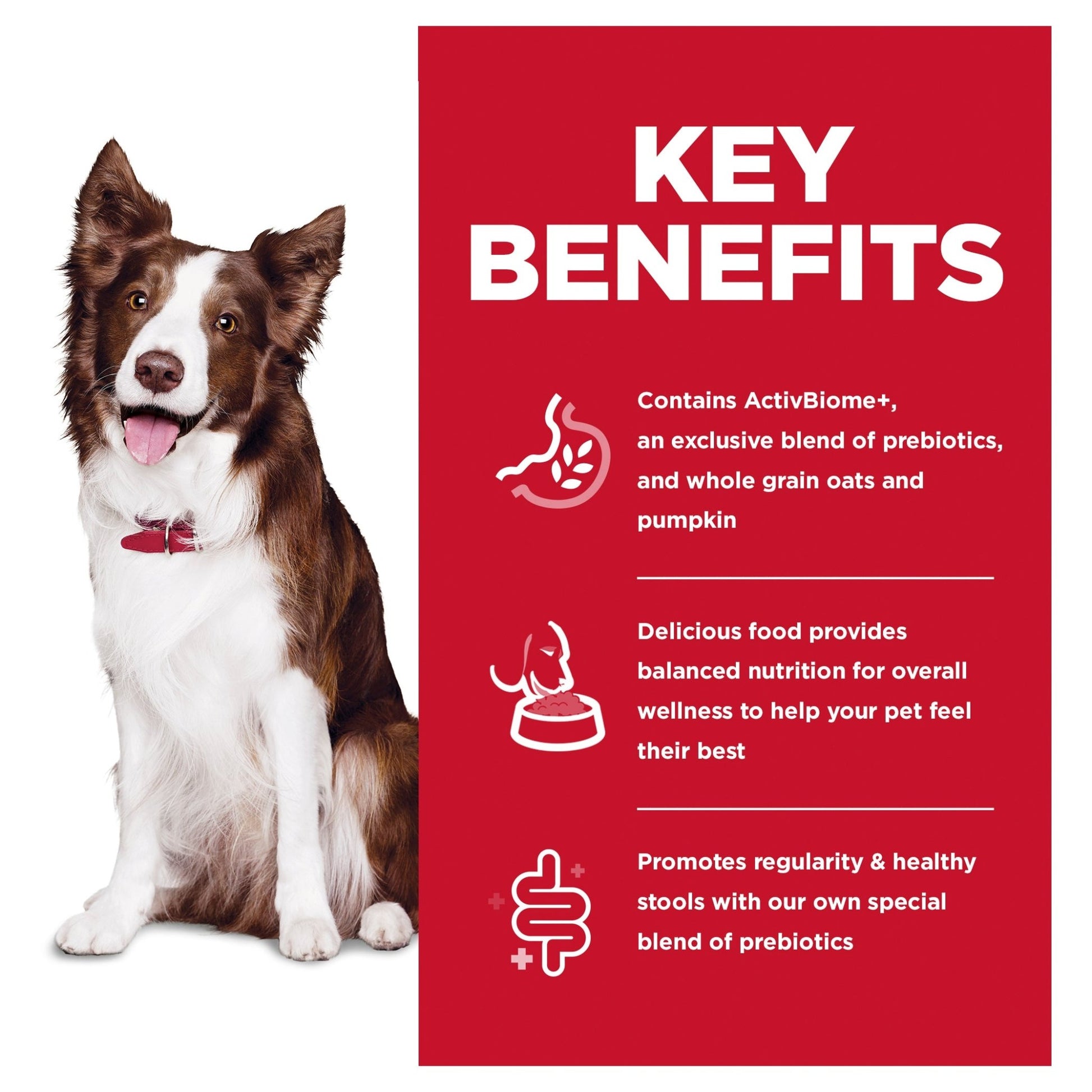 Hill's Science Diet Perfect Digestion Adult Dry Dog Food - Woonona Petfoods